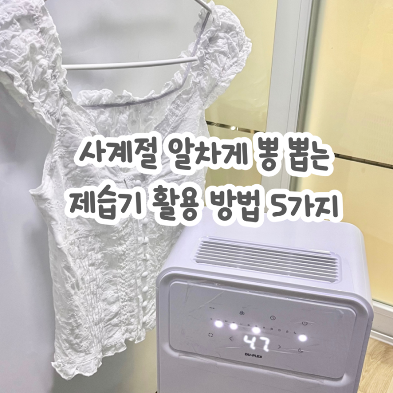 사계절 알차게 뽕 뽑는 제습기 활용 방법 5가지! 가성비 곰팡이 박멸방법 자취생 신혼부부 필....