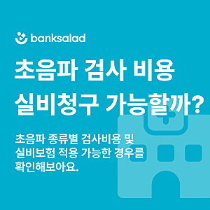 초음파 실비 | 복부·경동맥·심장·자궁·유방 초음파 검사 비용 실비 청구 방법 총정리