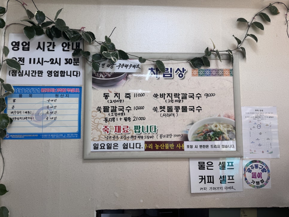 무등죽 사진 2