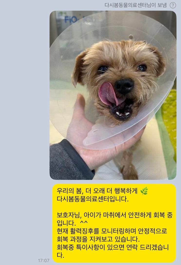  입원 중인 아이의 상태를 카카오톡으로 전해드립니다 – 다시봄 환자관리 방식