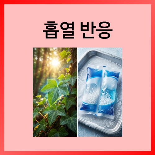  [중등화학]흡열 반응