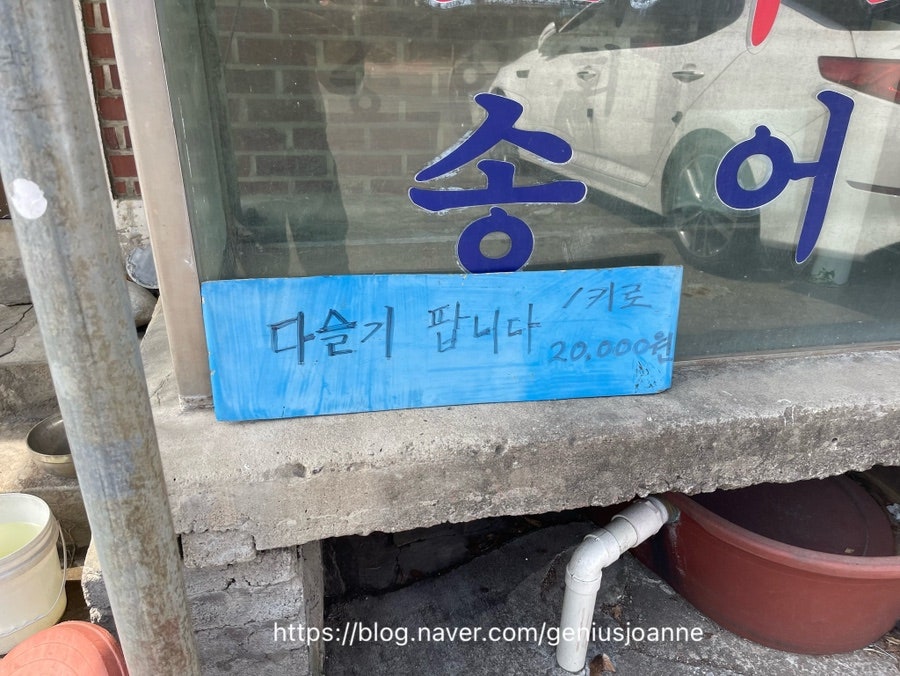 어부의집 사진 5