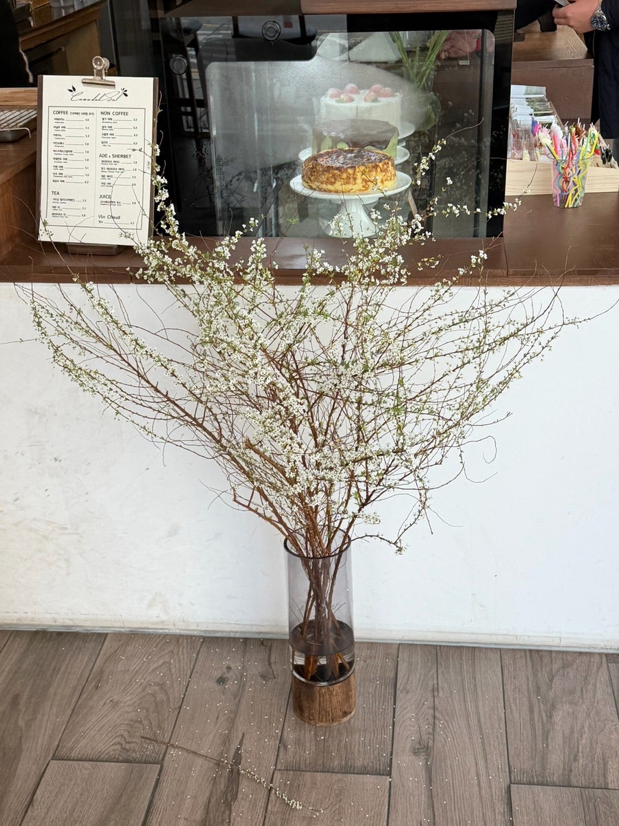 카사델솔 사진 5