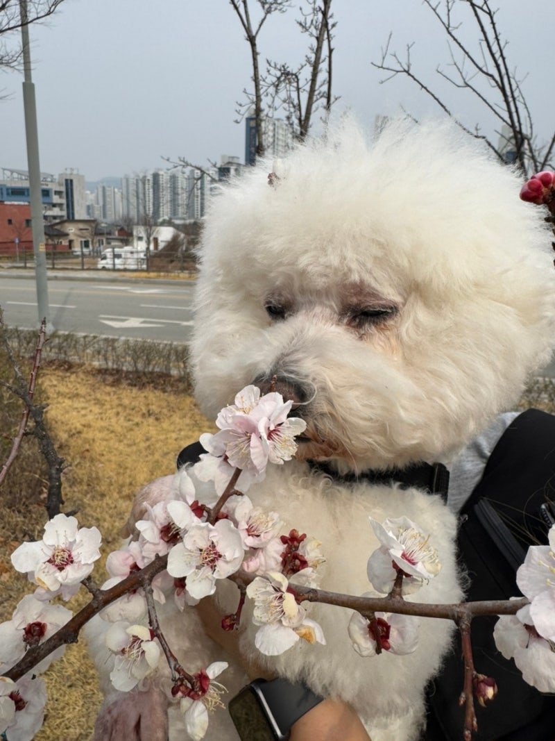 사진 4
