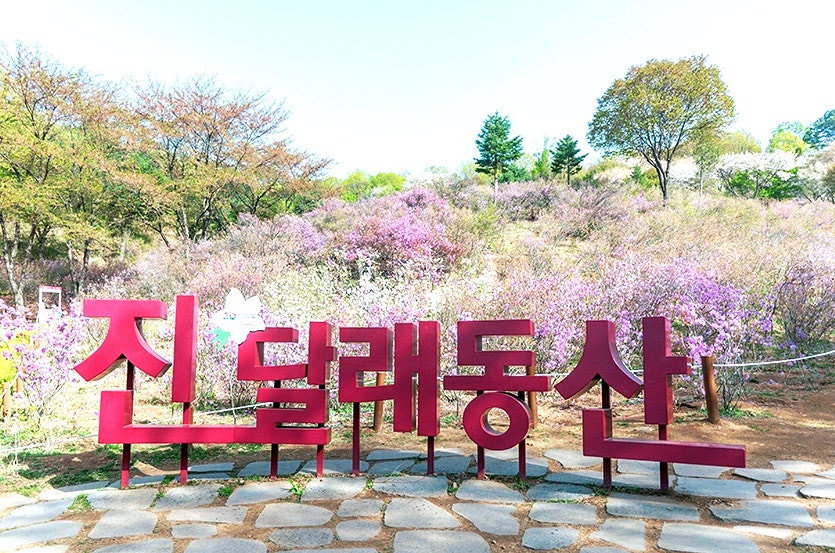호미마루 본점 사진 1