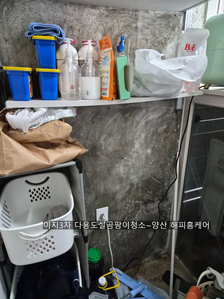  양산 이지3차 세탁실 벽면과 바닥 그리고 천정까지 퍼진 곰팡이제거청소 확실히게 진행하였습니다