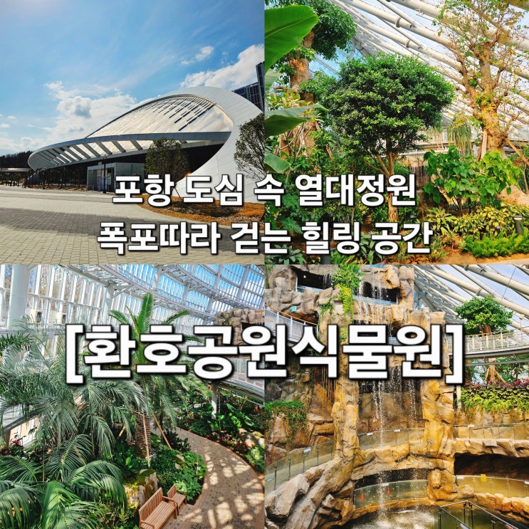  포항 도심 속 폭포 있는 열대정원 산책 '환호공원식물원'