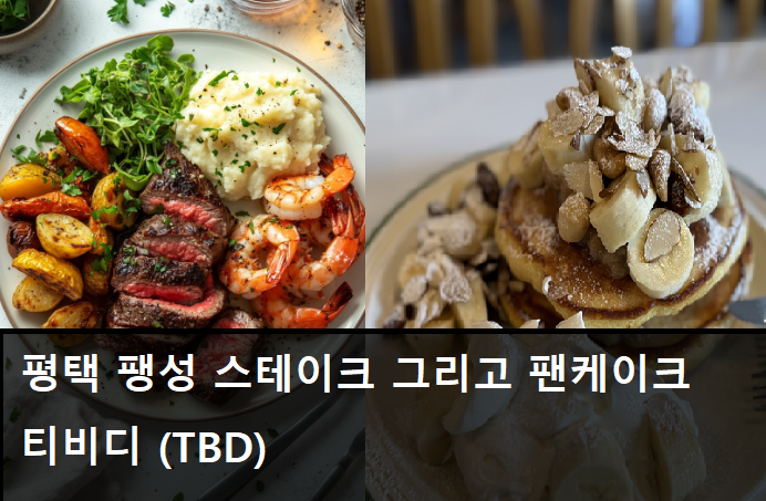 티비디 사진 1