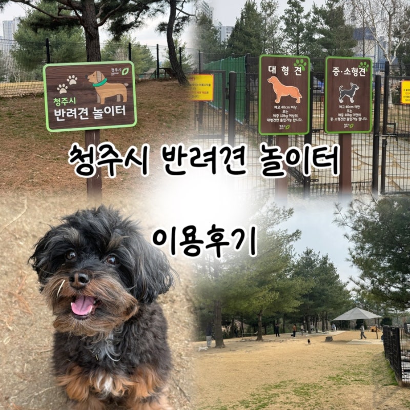 청주시 반려견 놀이터
