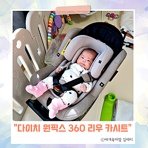 다이치 카시트 신생아 원픽스 360 리우 회전형 가성비 내돈내산 리뷰