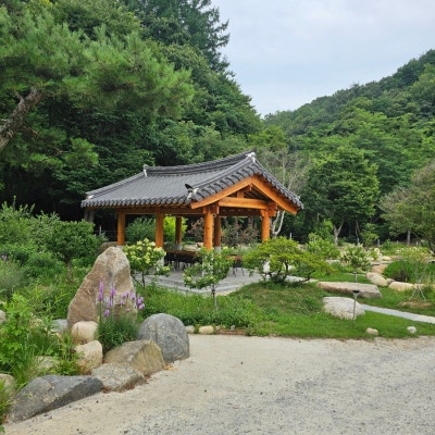 사진 2