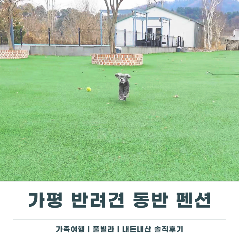 사진 7