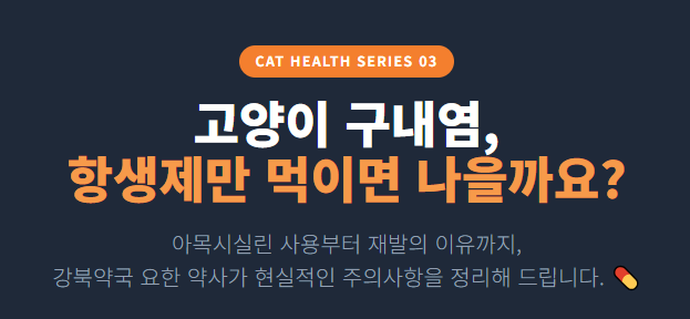[고양이 구내염 3탄] "고양이 구내염, 항생제 먹이면 나을까요?" 아목시실린 사용, 보호자가 ....