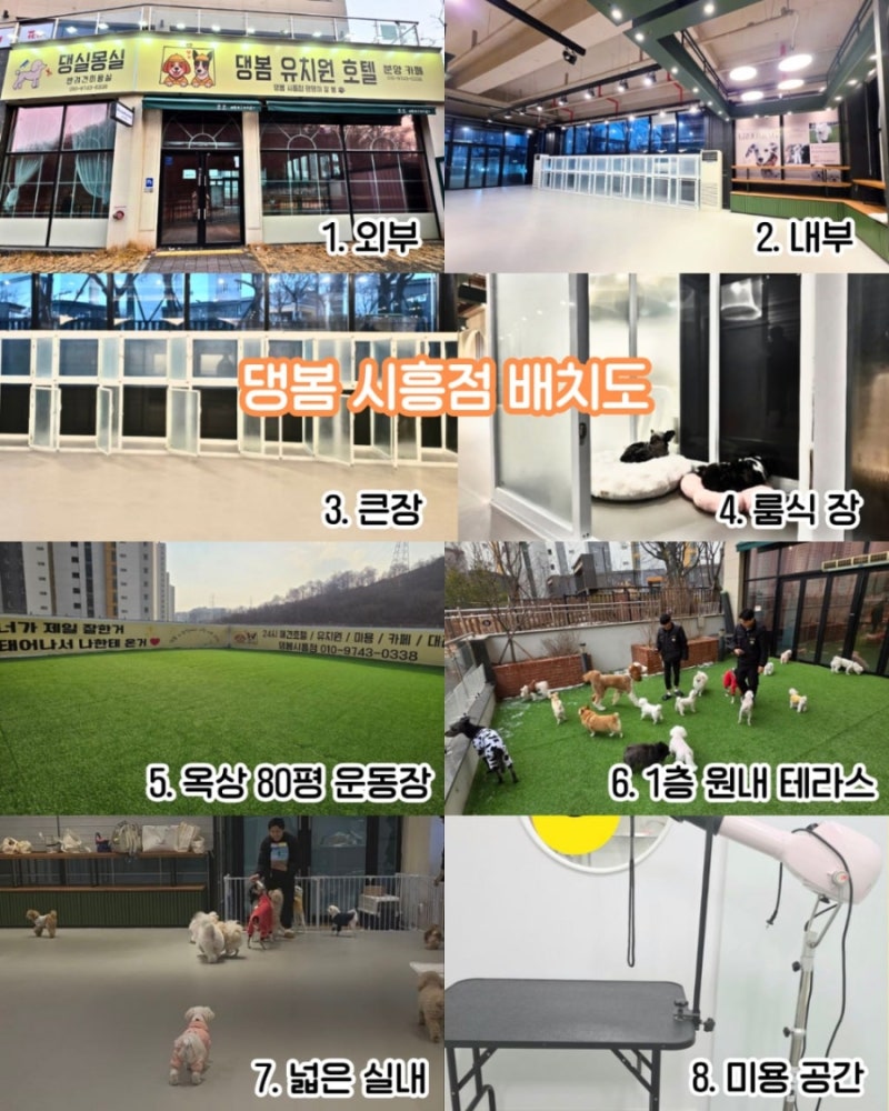 사진 5