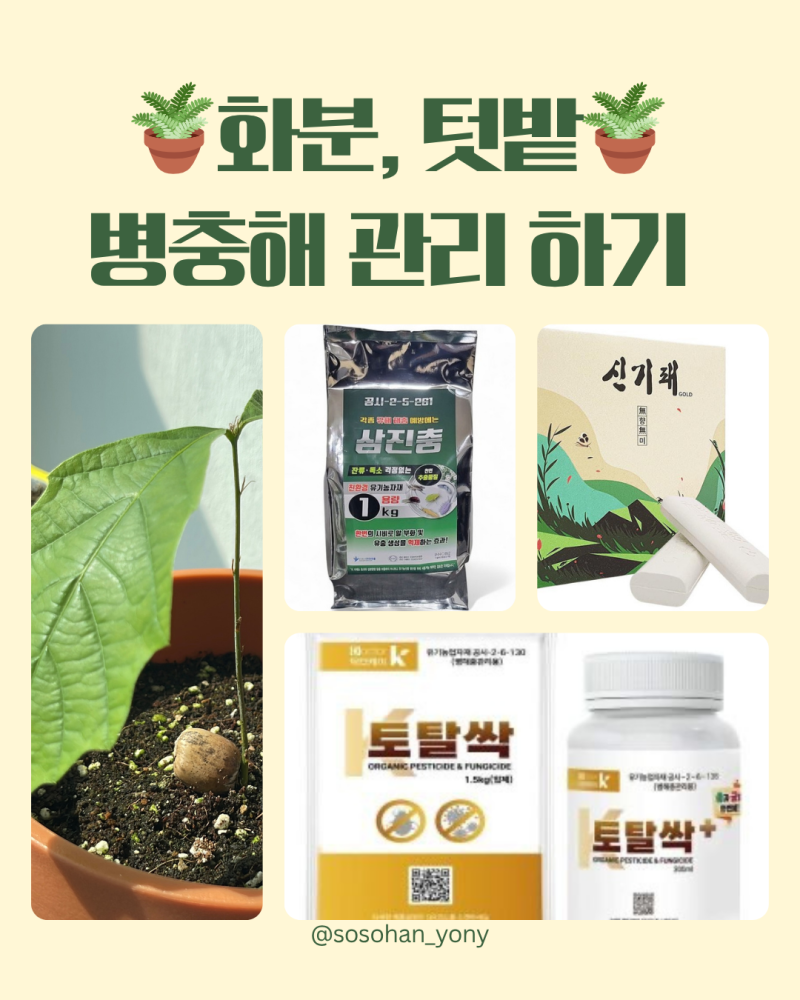 봄여름 화분 병해충 퇴치제 뿌리파리 퇴치 코니도 빅카드 총진싹 토탈싹 삼진충 신기패 가격....