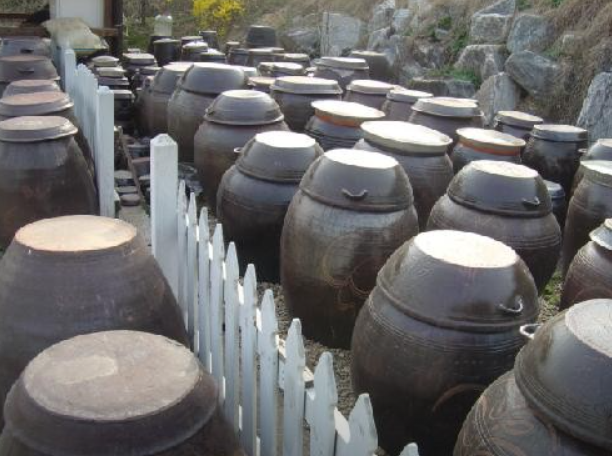 매실농원 사진 3