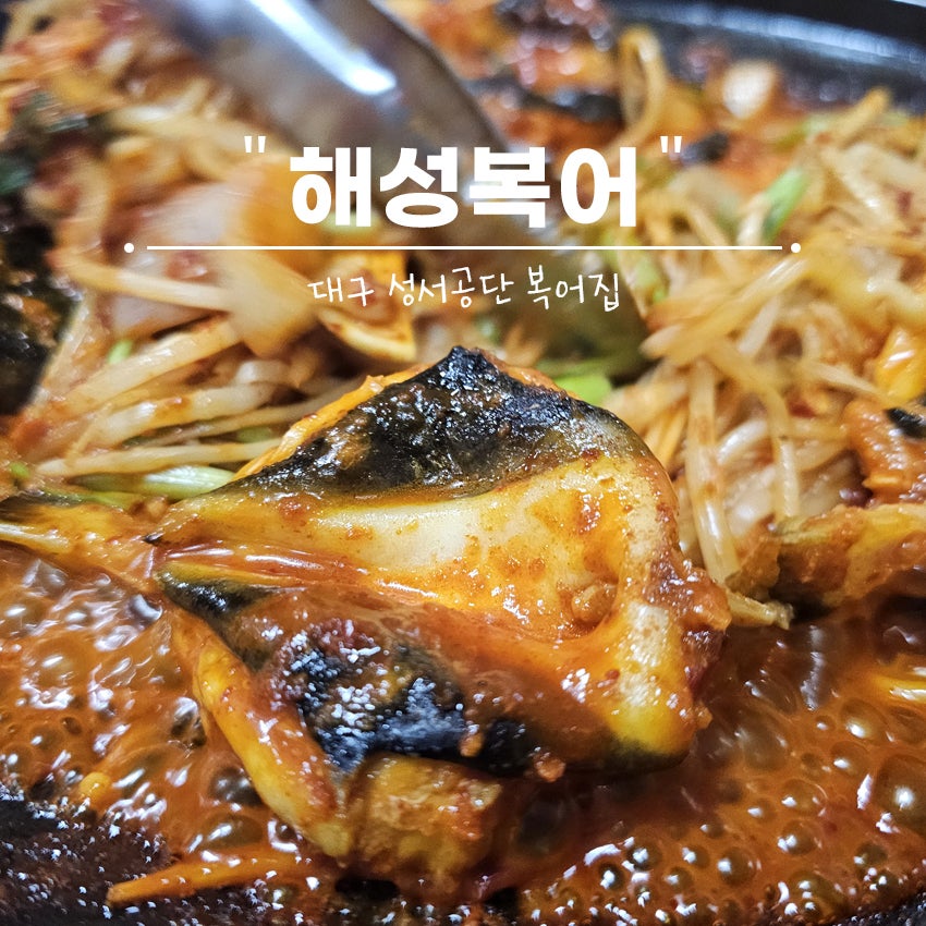해성복어 사진 1