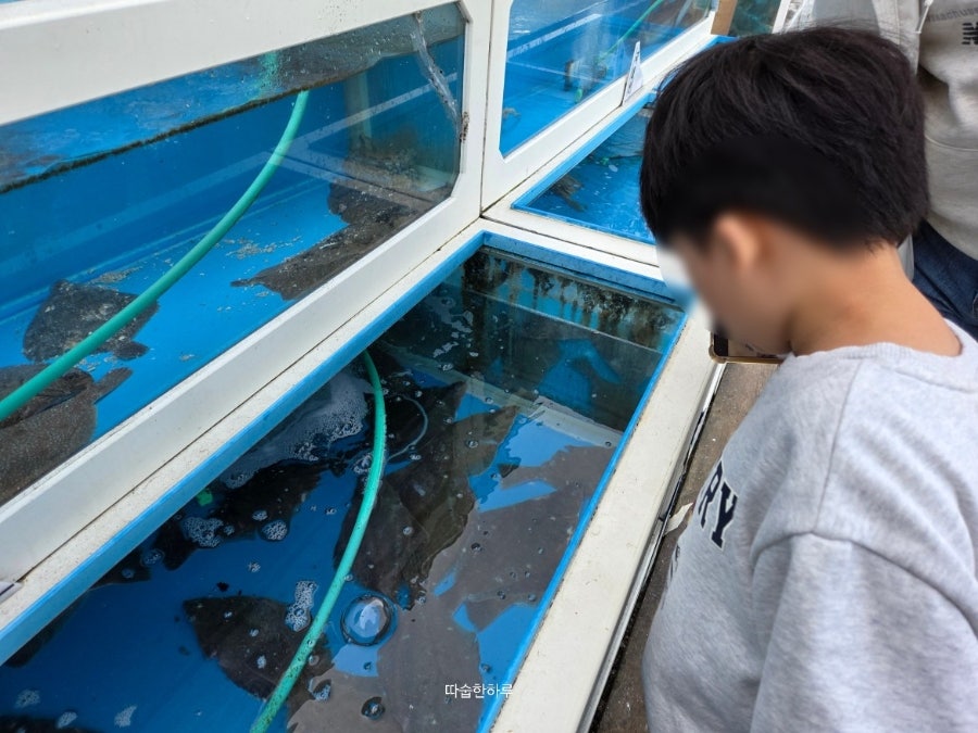 왕실횟집 사진 6