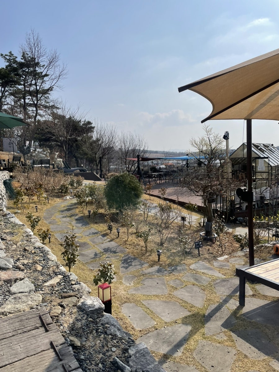 벚꽃언덕 사진 3
