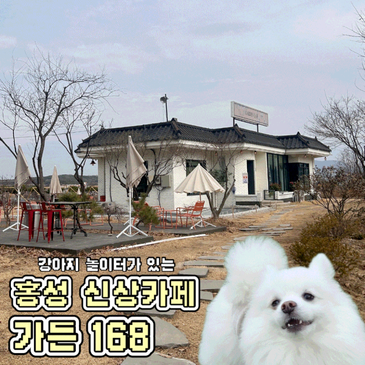  홍성 강아지 운동장 있는 애견 동반 신상 카페 가든168