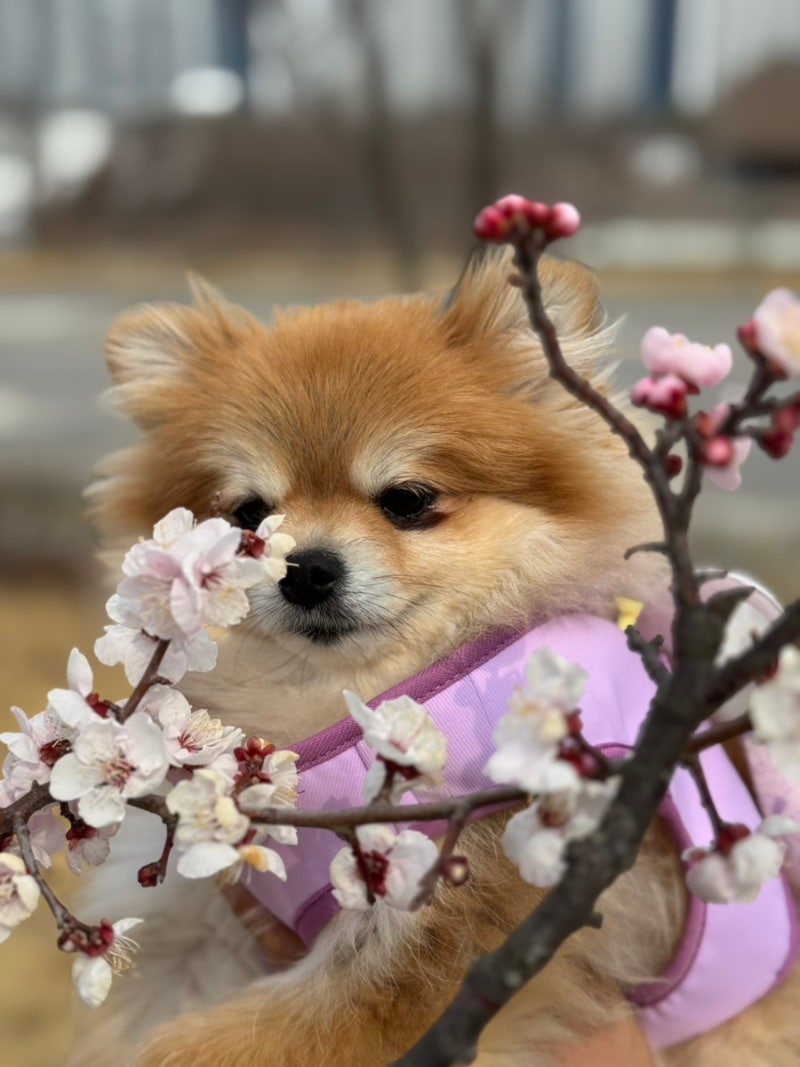 사진 5