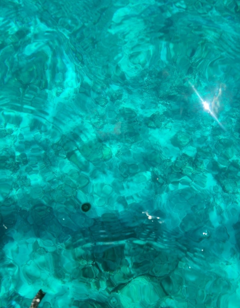 필리핀 세부 막탄 이건꼭하자 호핑투어!! 세부플러스