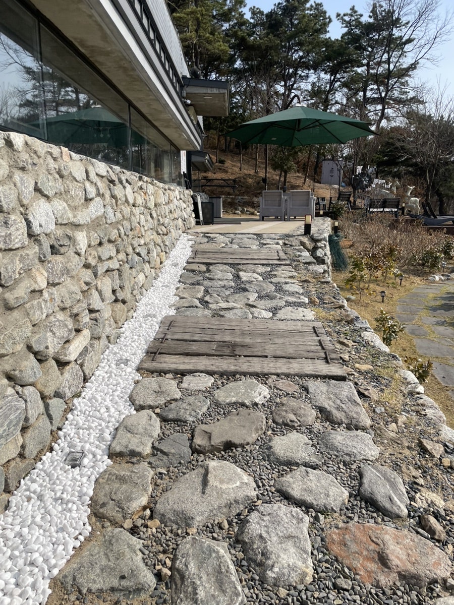 벚꽃언덕 사진 4