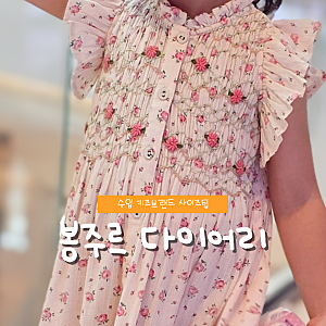 Bonjour Diary 봉주르 다이어리 사이즈 팁