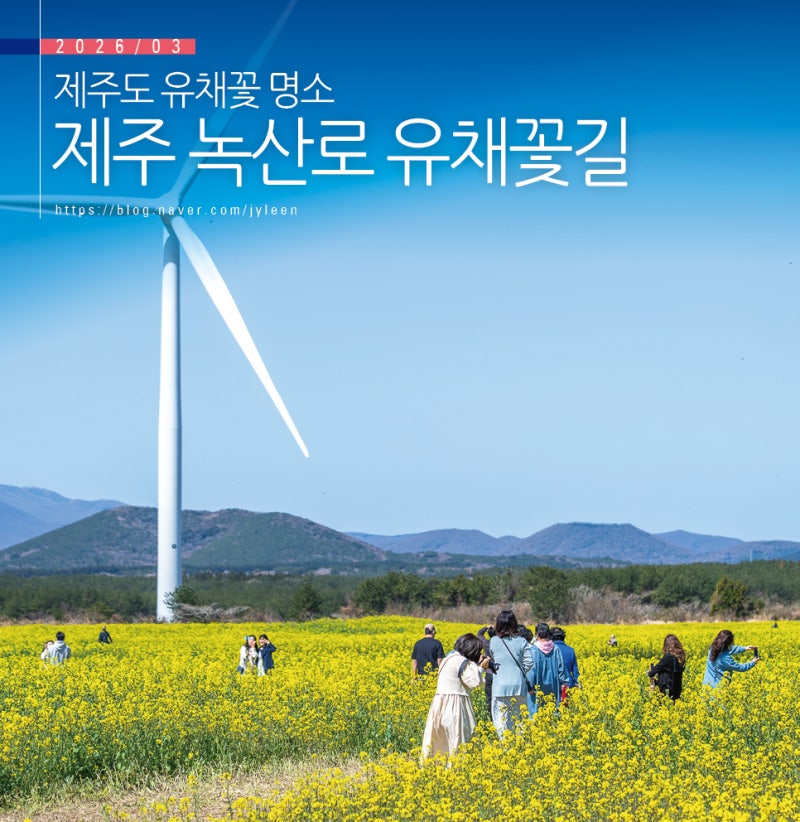 사진 4