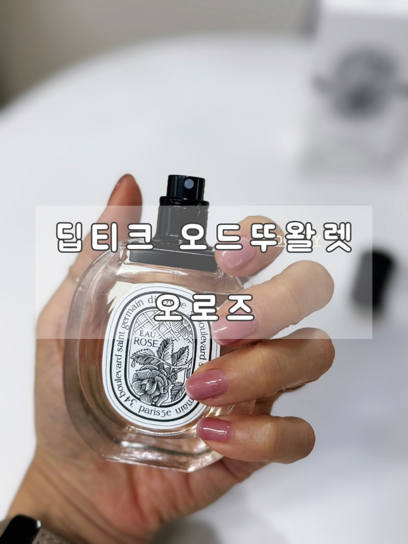 [리뷰] 딥디크 오로즈 오드뚜왈렛 솔직후기｜롯백 시향 후 선택한 인생 장미향 (면세 선물 추....