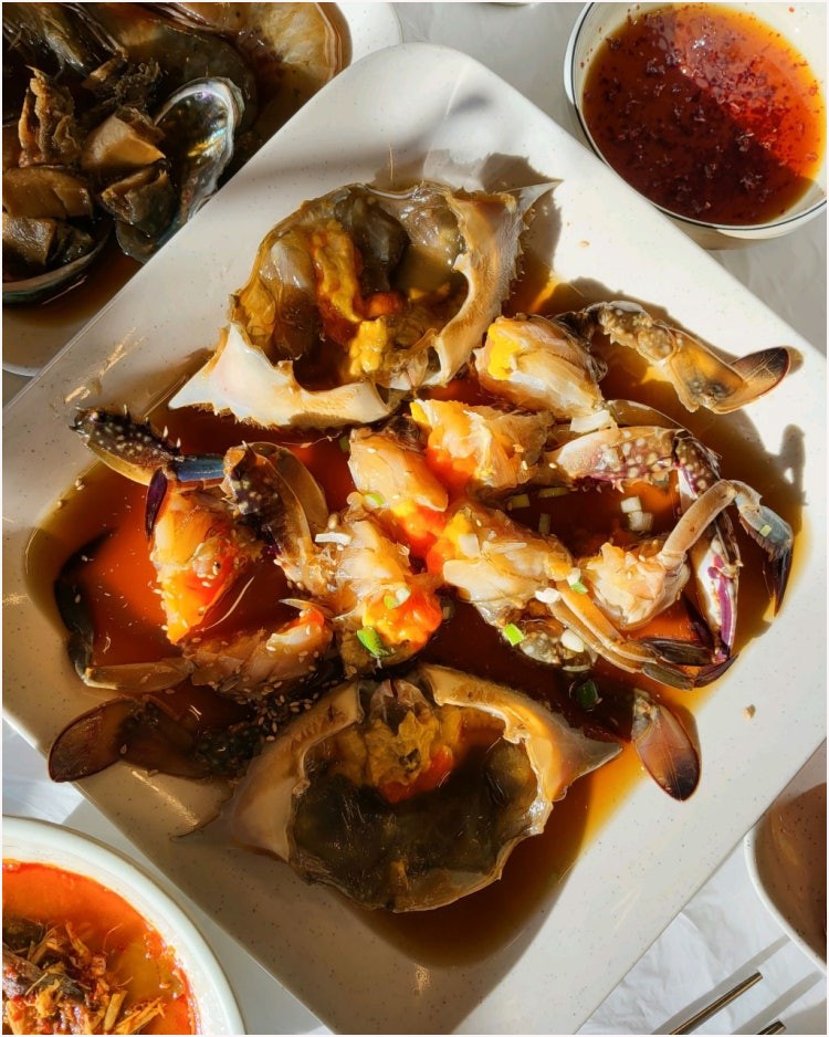 쌍둥이네 사진 3