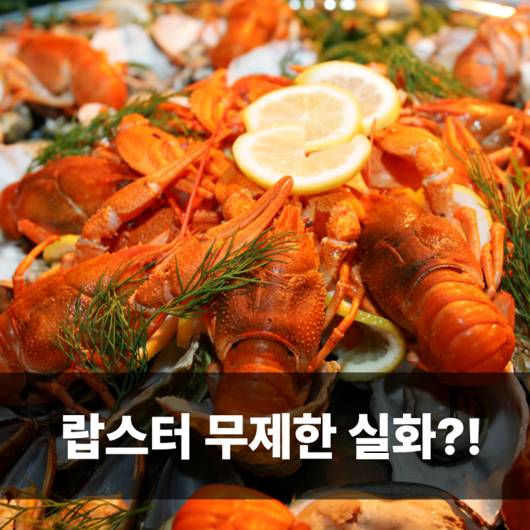  나트랑 랍스터 무제한 응온갤러리 예약 가족여행 준비