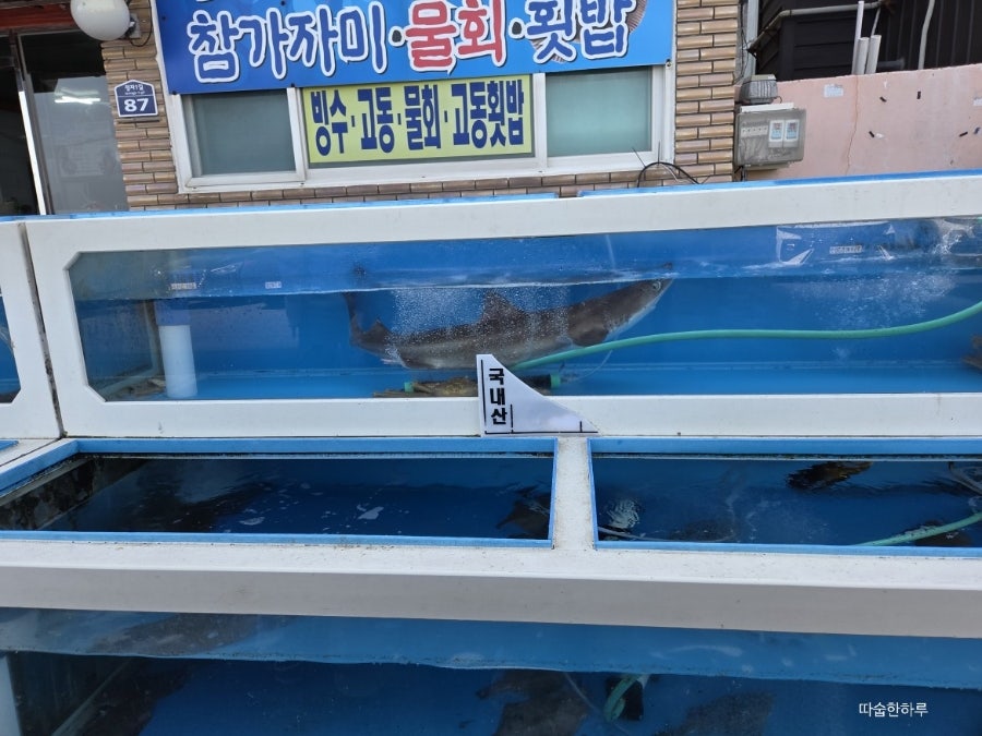 왕실횟집 사진 3