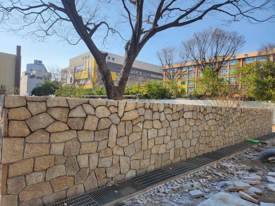제주돌담 사진 2