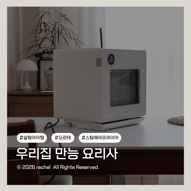 오르테 대용량 스팀에어프라이어 찜부터 구이까지 한 번에