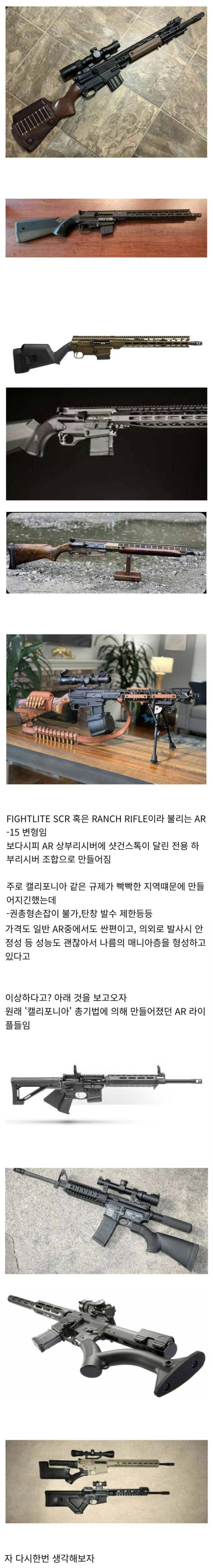  미국의 총기법안때문에 생겨난 독특한 AR15 바리에이션