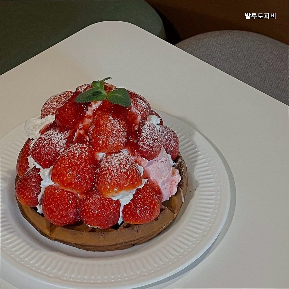 발루토피비 사진 5