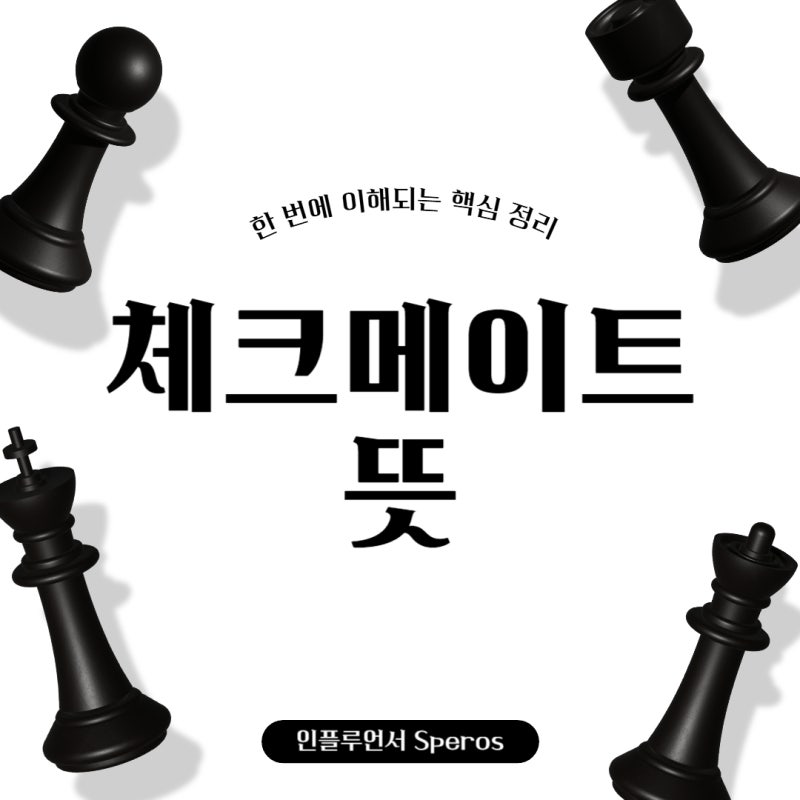 체크메이트 뜻 한 번에 이해되는 핵심 정리