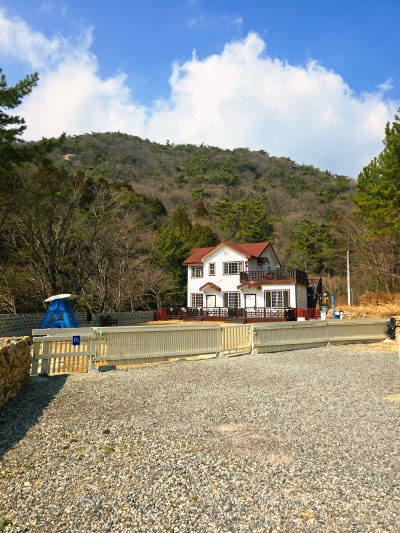 사진 11