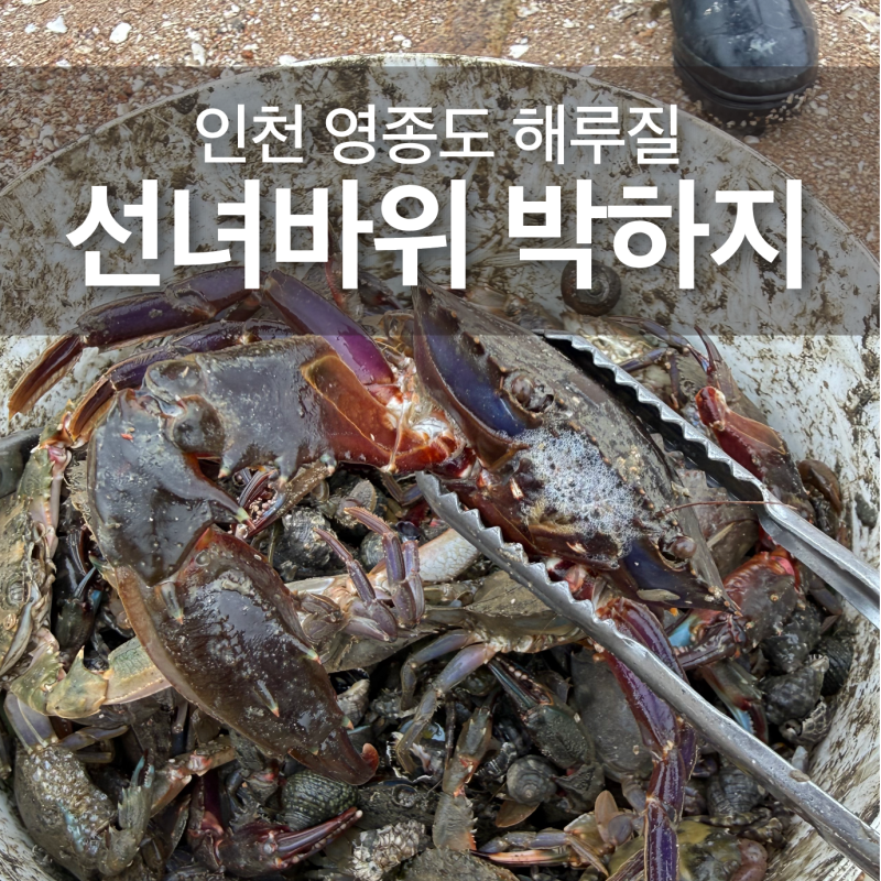 인천 영종도 해루질 선녀바위 해수욕장 꽃게 갯벌체험