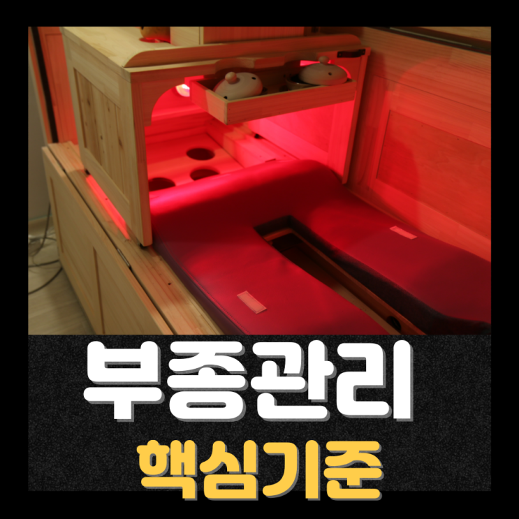  천안피부관리 웰니스관리 기준 쑥뜸관리 얼굴부종 하체부종 복부부종 흐름 신부동피부관리