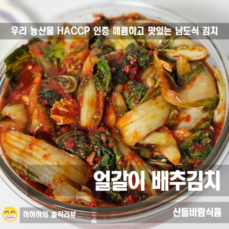  후딱 만드는 산들바람김치 얼갈이배추 비빔밥 봄동비빔밥