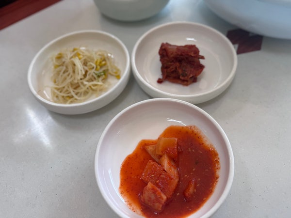 무등죽 사진 3