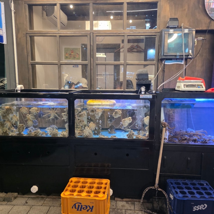 몽수산 사진 5