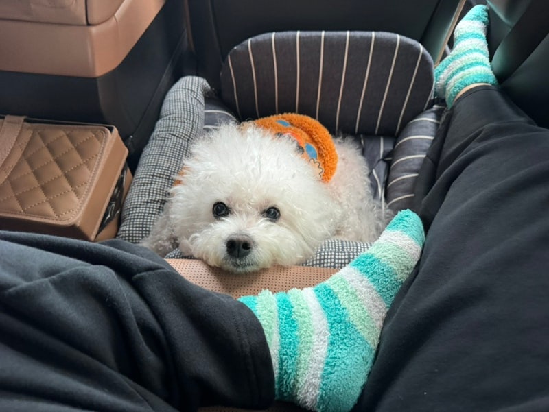 사진 5