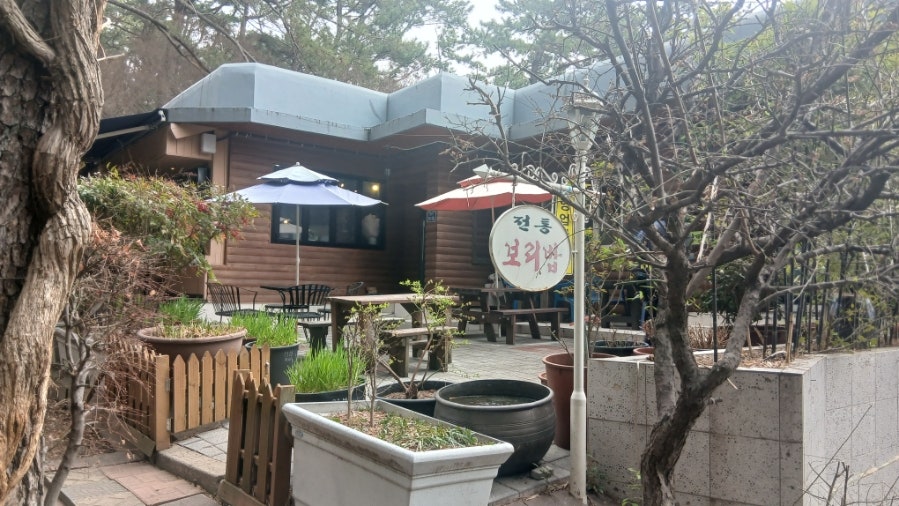 차밭골보리밥 사진 1
