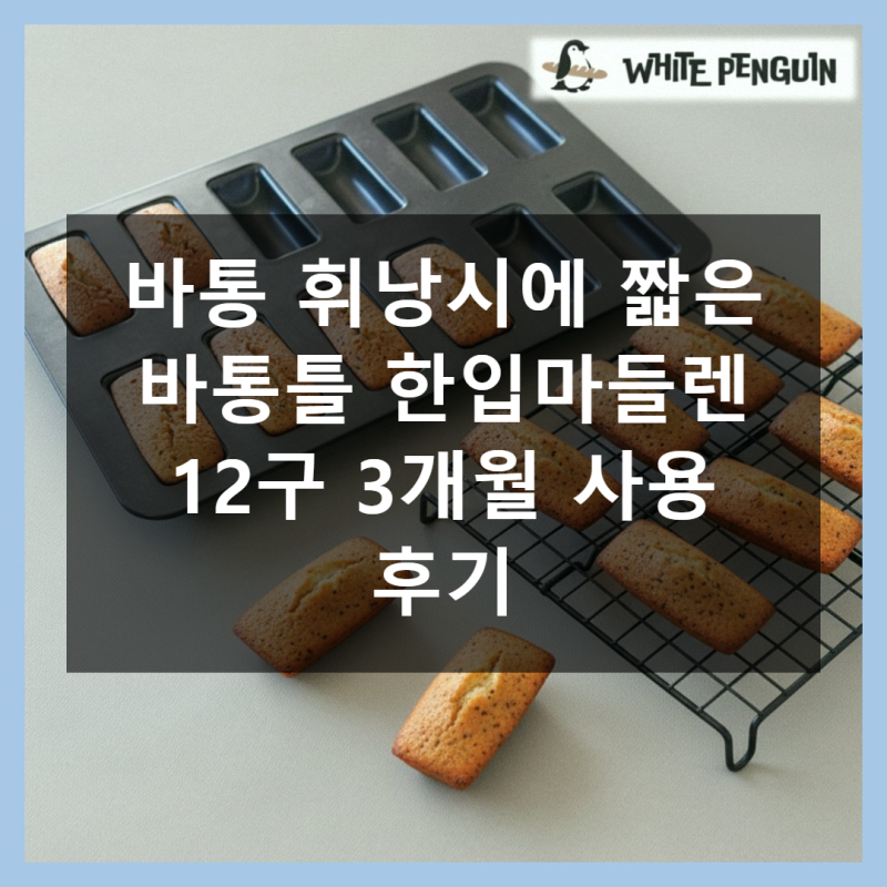 바통 휘낭시에 짧은 바통틀 한입마들렌 12구 직접 써본 솔직 사용기