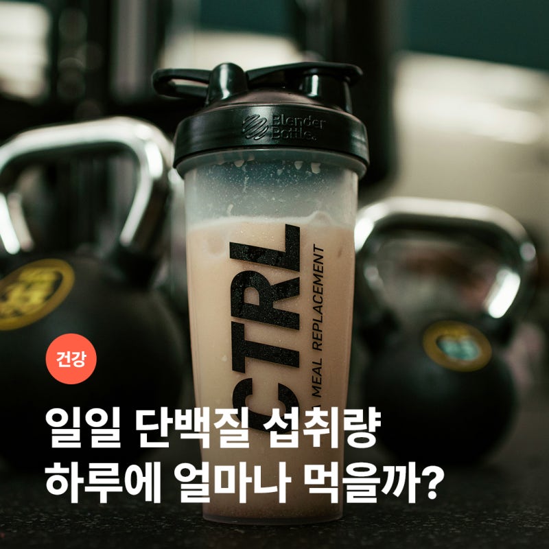 일일 단백질 섭취량은 얼마가 적당할까?