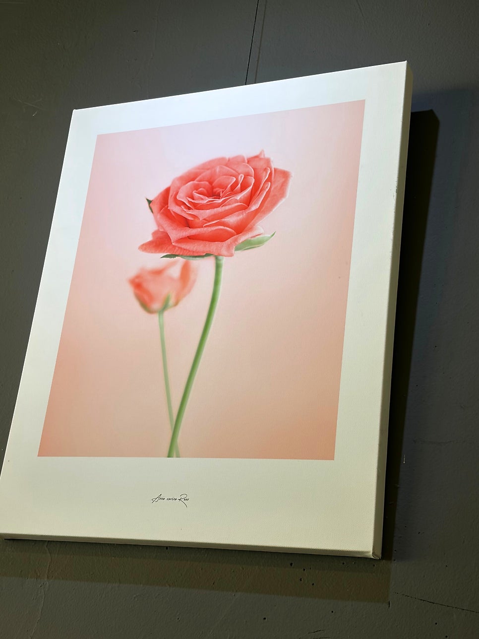 까사피에스타 원주점 사진 6