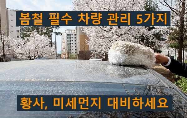  봄철 필수 차량 관리 5가지 — 황사·미세먼지 대비 지금 꼭 하세요
